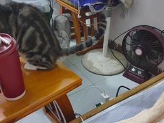 -张钰强中医正骨推拿连锁(唐家人才公寓店)