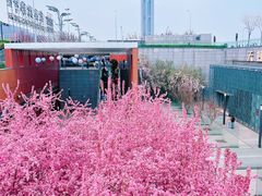-北京奥林匹克公园