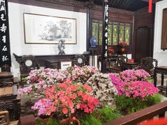 -惠山古镇·寄畅园