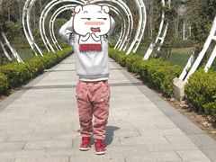 -昆山城市生态森林公园