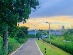 -光明小镇欢乐田园