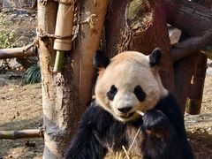 -杭州动物园