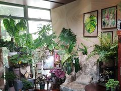 -棕榈岛海鲜自助餐厅(虹桥迎宾馆店)