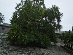 -杨家埠民间艺术大观园