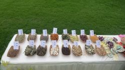 -华东饭店·园林式婚礼宴会厅酒店