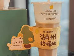 柠檬奶-猫的魔法密林(衣裳街店)
