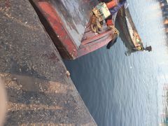 iphone_upload_pic-鸿港海鲜批发市场