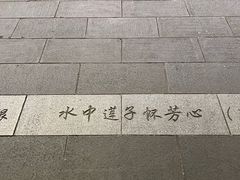 -杭州湖滨in77