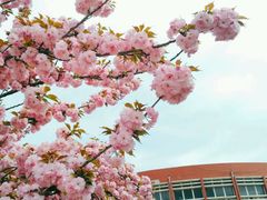 -山东大学(软件园校区)