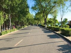 -丁香湖公园