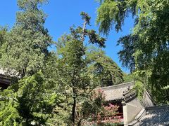 -潭柘寺景区