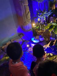 -恐龙探索乐园(磁器口店)