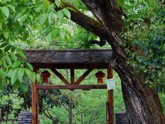 -苍山世界地质公园·石门关大峡谷