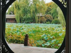 -桂湖森林公园