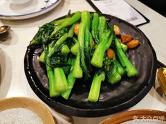 -裕.鹅庄