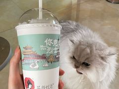 -伟伟宠物医院·CT影像中心·瑞派犬猫综合性门诊(汉口总院)