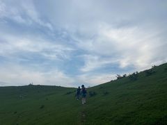 -大姆山草场