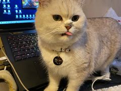 -佳雯宠物医院(金华南路分院)