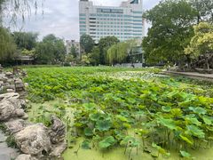-莲湖公园