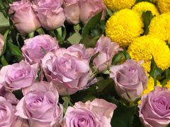 -植物学家的女儿(北马道巷店)