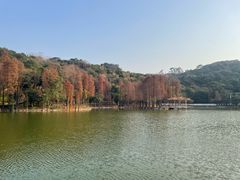 -西樵山风景名胜区-天湖公园