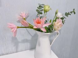 -YESIDO椰岛美容
