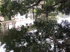 -黄埔古港