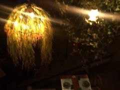 -胡桃里乐队酒馆(鎏嘉码头店)