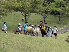 -神户市立六甲山牧场