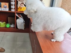 -艾贝尔宠物医院 ·内科全科(梁溪路店)