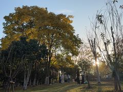 -月湖风景区