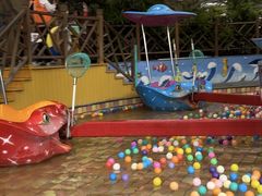 -南宫五洲植物乐园