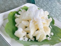 -巩本明鱼屋子