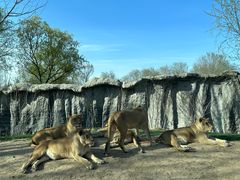 -北京野生动物园