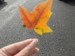 -格朗合·鸡汤米线(辰昌路店)