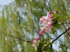 -三里河公园
