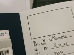 -申普宠物医院·心脏介入·心血管微创(总院)