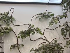 -耳艺采耳·足疗(市桥店)