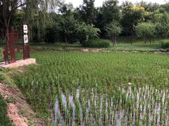 -北坞公园