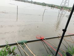 -梁鸿国家湿地公园