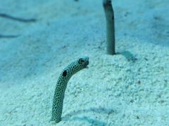 -上海海洋水族馆