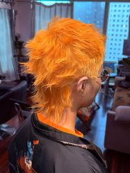 -GANO HAIR 