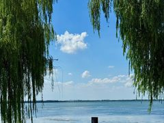 -品鲜村农家菜·阳澄湖大闸蟹(总店)