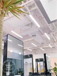 -攸瑟美学