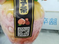 -舍予茶(桂林路店)