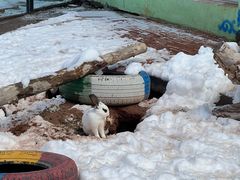 -鄂尔多斯野生动物园