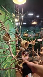 -Zoolung Zoolung动物主题公园(海信广场店)