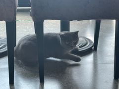 -NOTOOCAFE不二咖啡馆(岩前店)