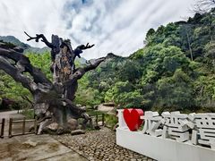 -龙湾潭国家森林公园