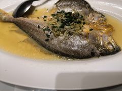 -宝燕壹号(徐汇店)
